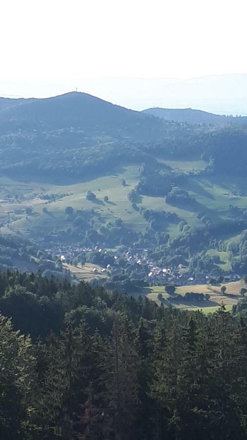 Les O Welches Cote Lac Orbey Luaran gambar