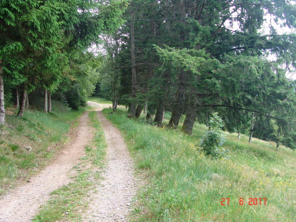 Les O Welches Cote Lac Orbey Luaran gambar